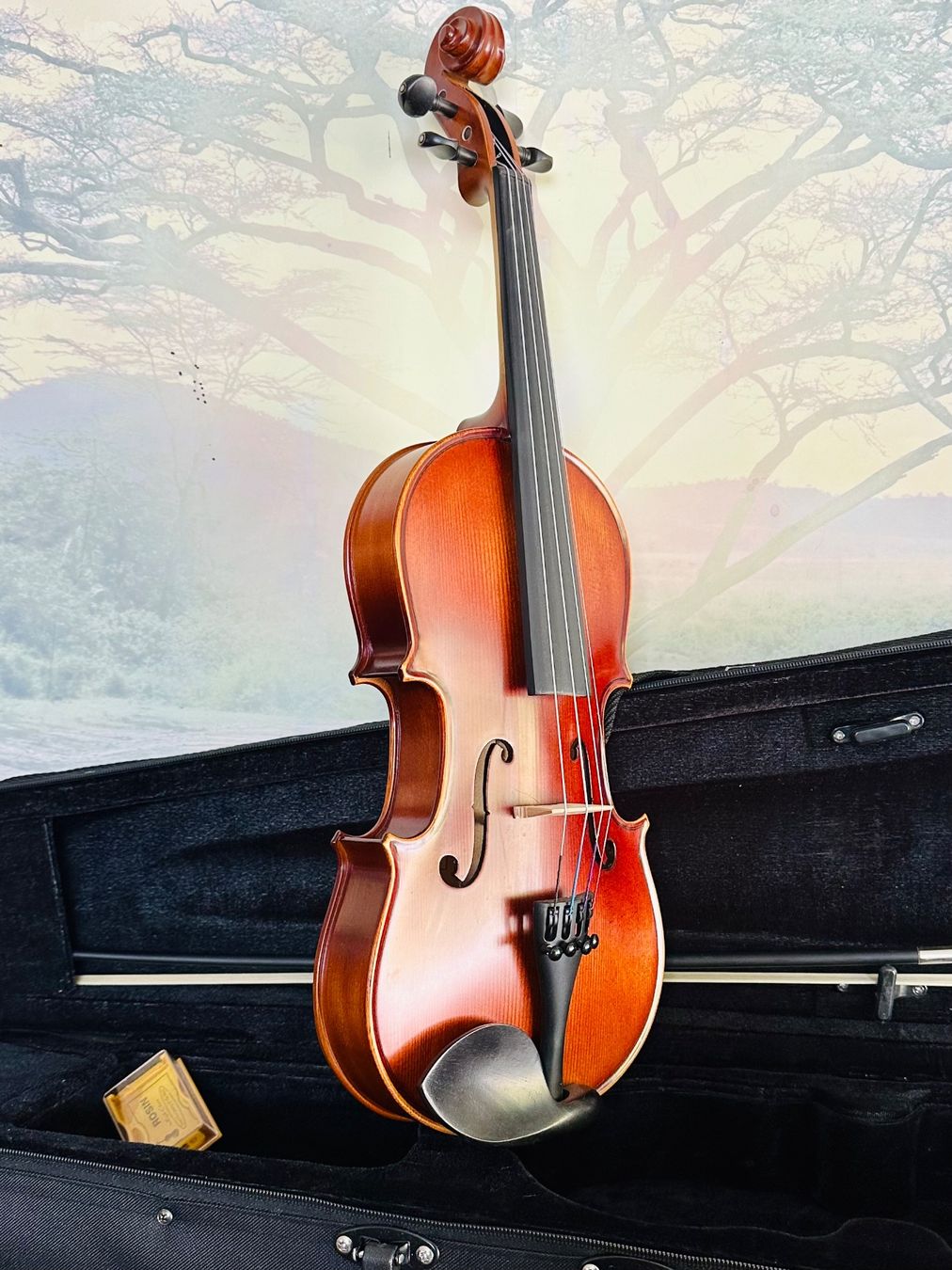 Instruments de musique: Viola 13 – Neu – Neuf avec emballage d'origine à Kirchberg SG par rex_pfd8 1