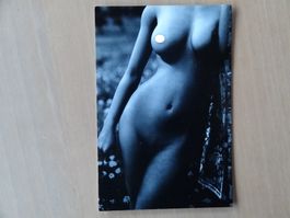Erotik - AK - vintage Pin-Ups - 50 & 60 ans