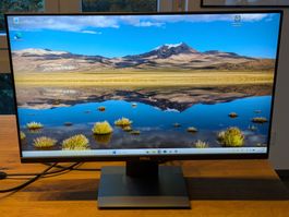Monitor Dell P2419H 24" FullHD, IPS-Panel