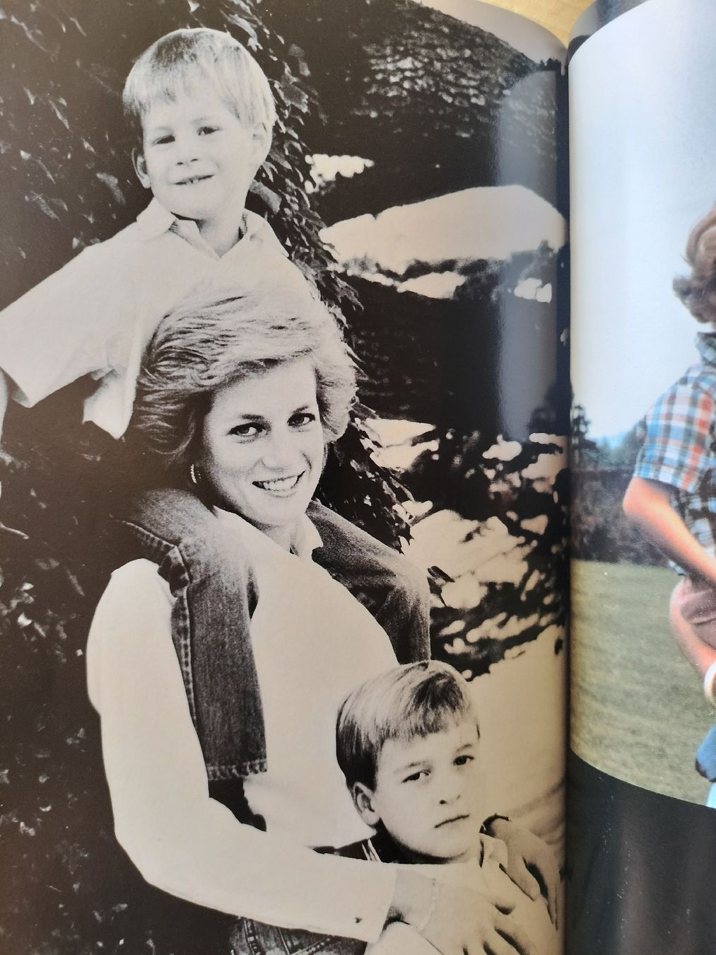 Libri: Prinzessin Diana Buch von 1992 – Usato da Schwanden Sigrisw venduto da len_9yqg 7