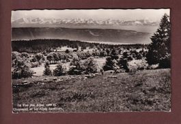 LA VUE DES ALPES - Chaumont - 1953