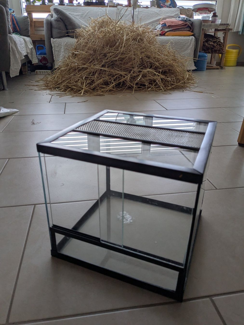 Terrario: Terrarium – Usato da Baar venduto da LisiMeier