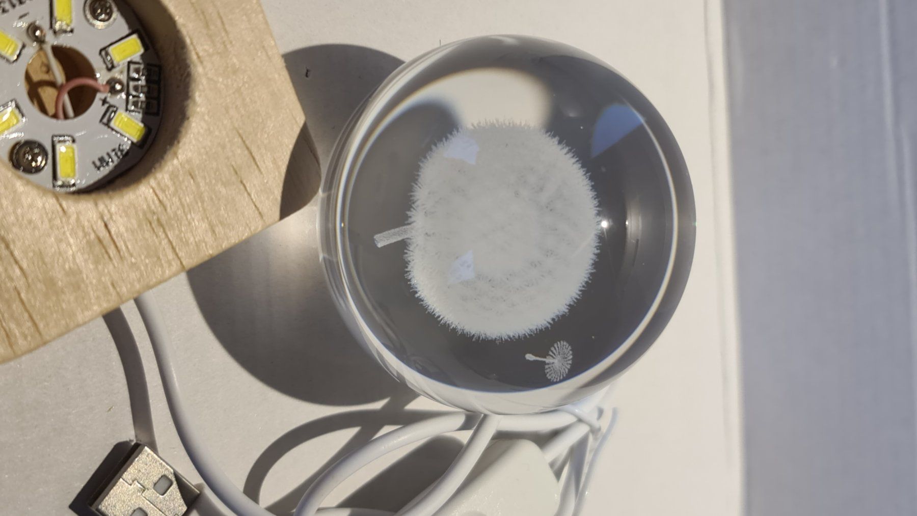 Tutte le decorazioni: 3D Löwenzahn Gravierte Globus 60mm – Nuovo (secondo la descrizione) da Uerkheim venduto da Kaufoption 8