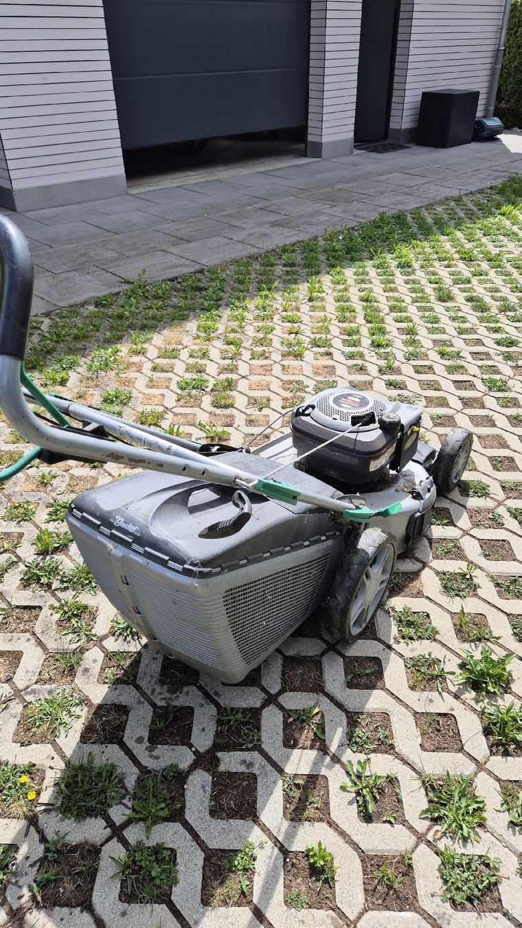 Tagliaerba: Rasenmäher 650 Briggs & Stratton Motor 190cc – Difettoso da Frasnacht venduto da monster-350 2