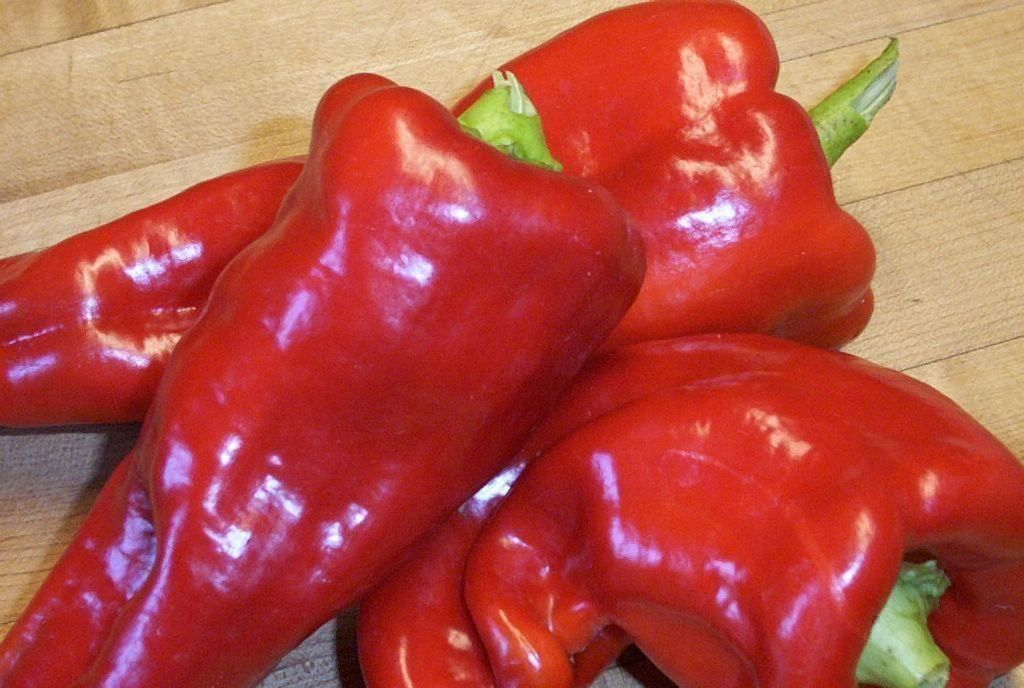 Piante & sementi: 50 Samen Paprika Kapia Rot Süss – Nuovo (secondo la descrizione) da Ehrendingen venduto da VerveinaSamen 4
