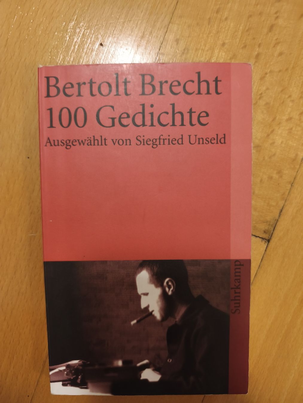 Libri: Bertolt Brecht - 100 Gedichte, Suhrkamp – Usato da Brugg AG venduto da ccoorriinnee