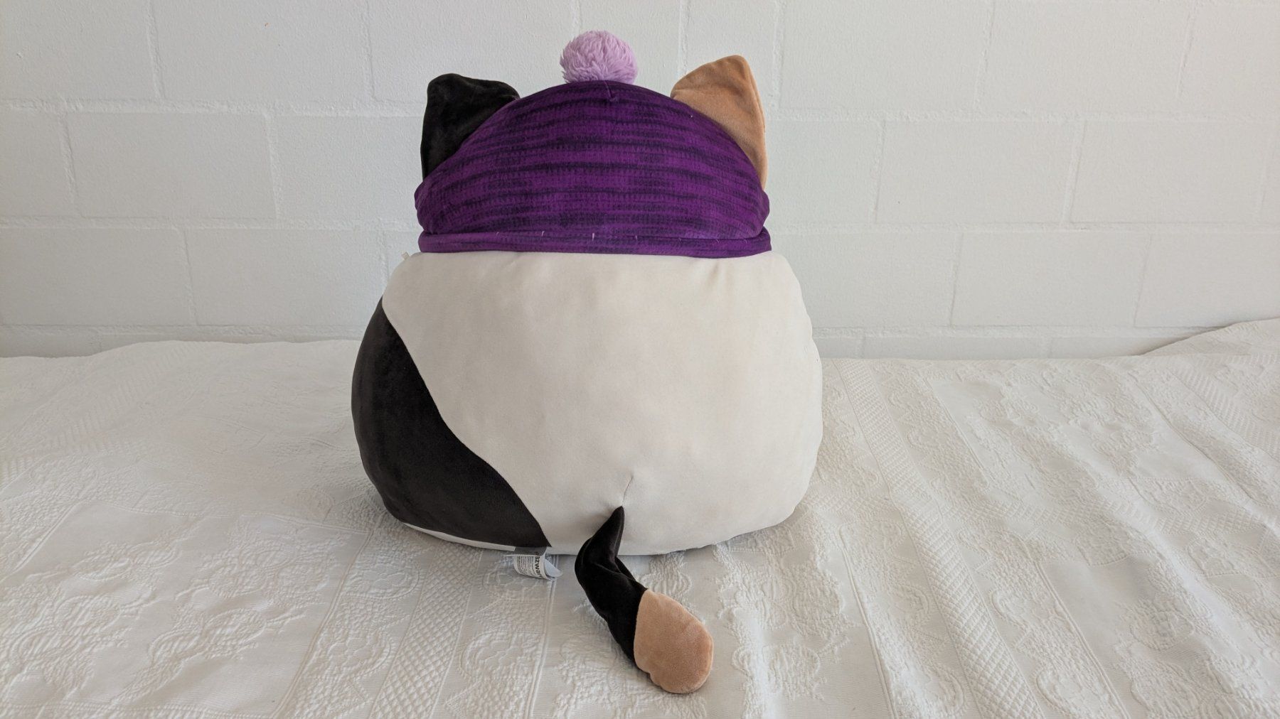 Squishmallows Giocattoli: Sqishmallows Katze 40cm – Usato da Adliswil venduto da bibuubib 1