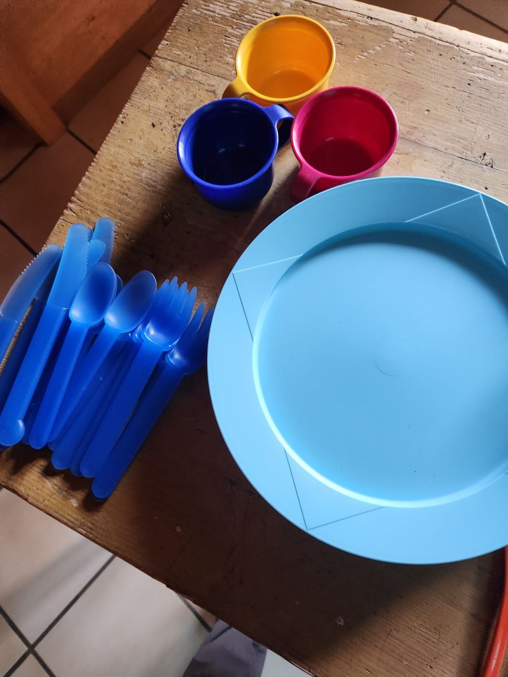 Tupperware Teller: Tupperware Camping/ Picknick Teller 5Stk – Gebraucht aus Gstaad von Meiel2020 2