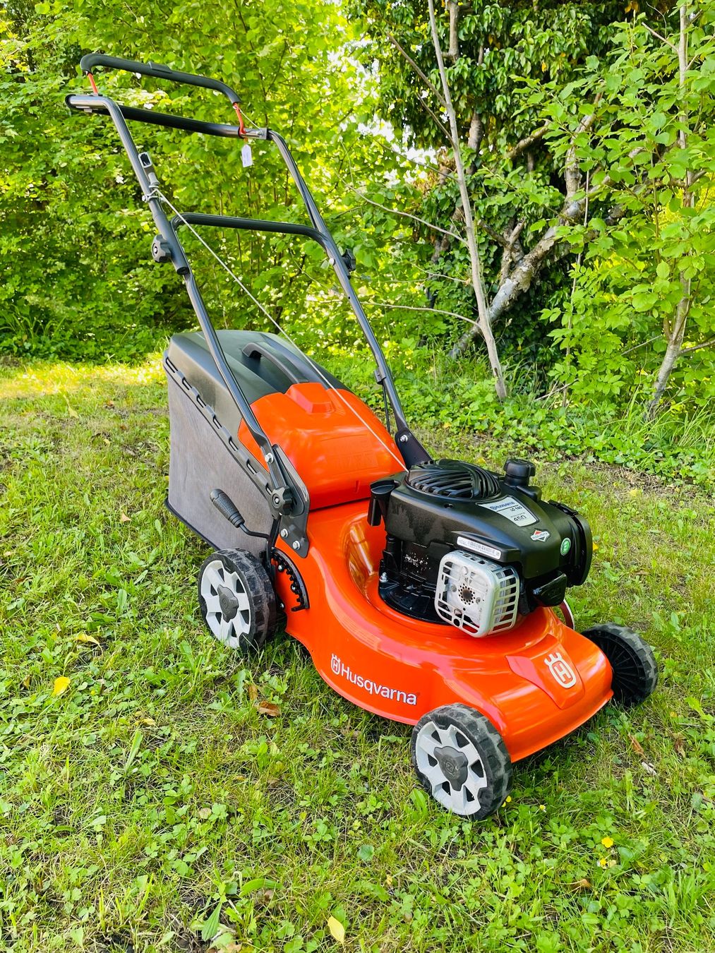 Tagliaerba: Rasenmäher Husqvarna – Usato da Dietikon venduto da L.L_GmbH 1