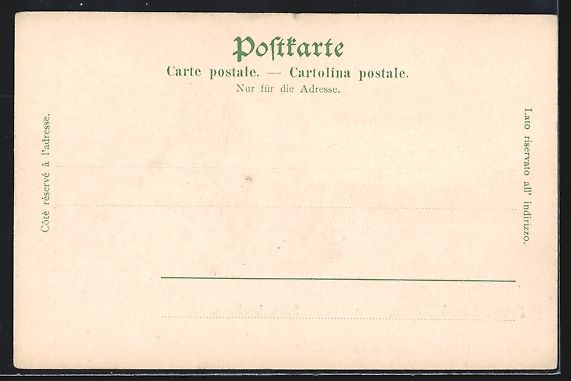 Cartoline postali: AK Vulpera, Schweizerhof – Usato da Berlin venduto da bartko-reher 1