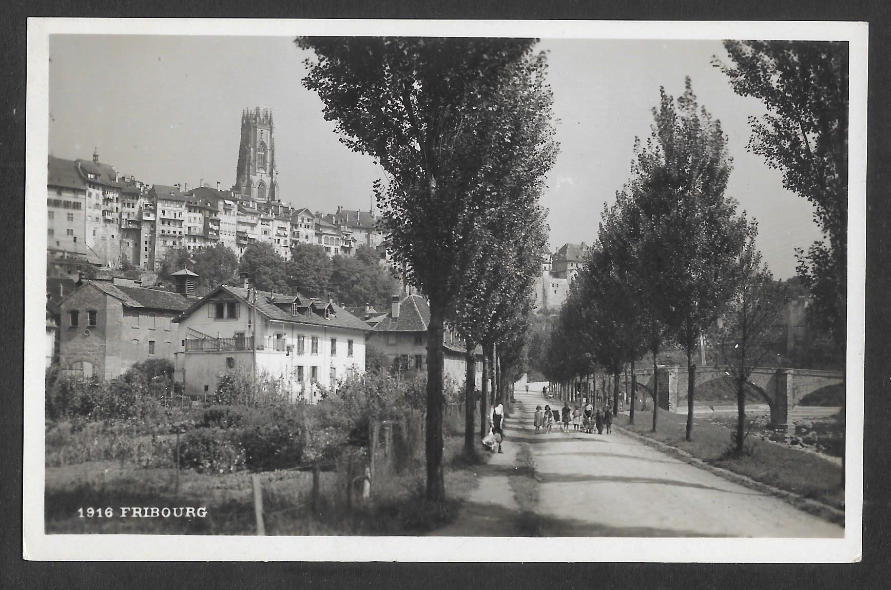 Cartoline postali: Fribourg Teilansicht – Usato da Olten venduto da clotaldi