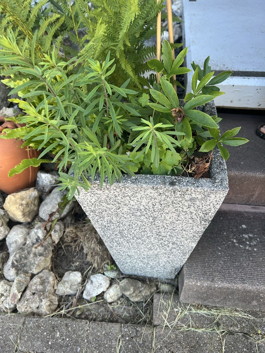 Pots de fleurs: 2 Blumentopf Granit-Optik – D'occasion à Kirchleerau par gue_hn6p