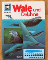 Buch - WAS IST WAS Wale und Delphine Band 85