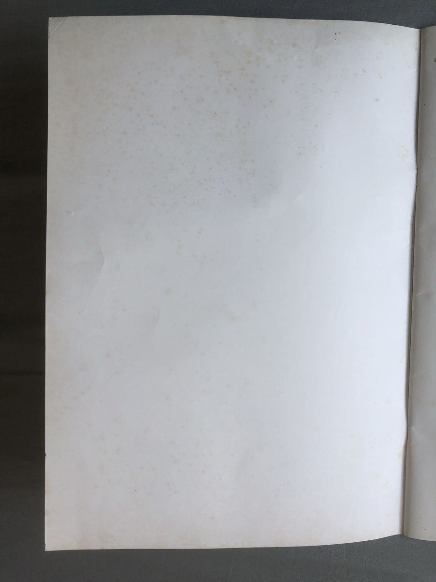 Foto & Immagini: Elvis Poster Book 1987 – Usato da Lenzburg venduto da Alfred1341 6