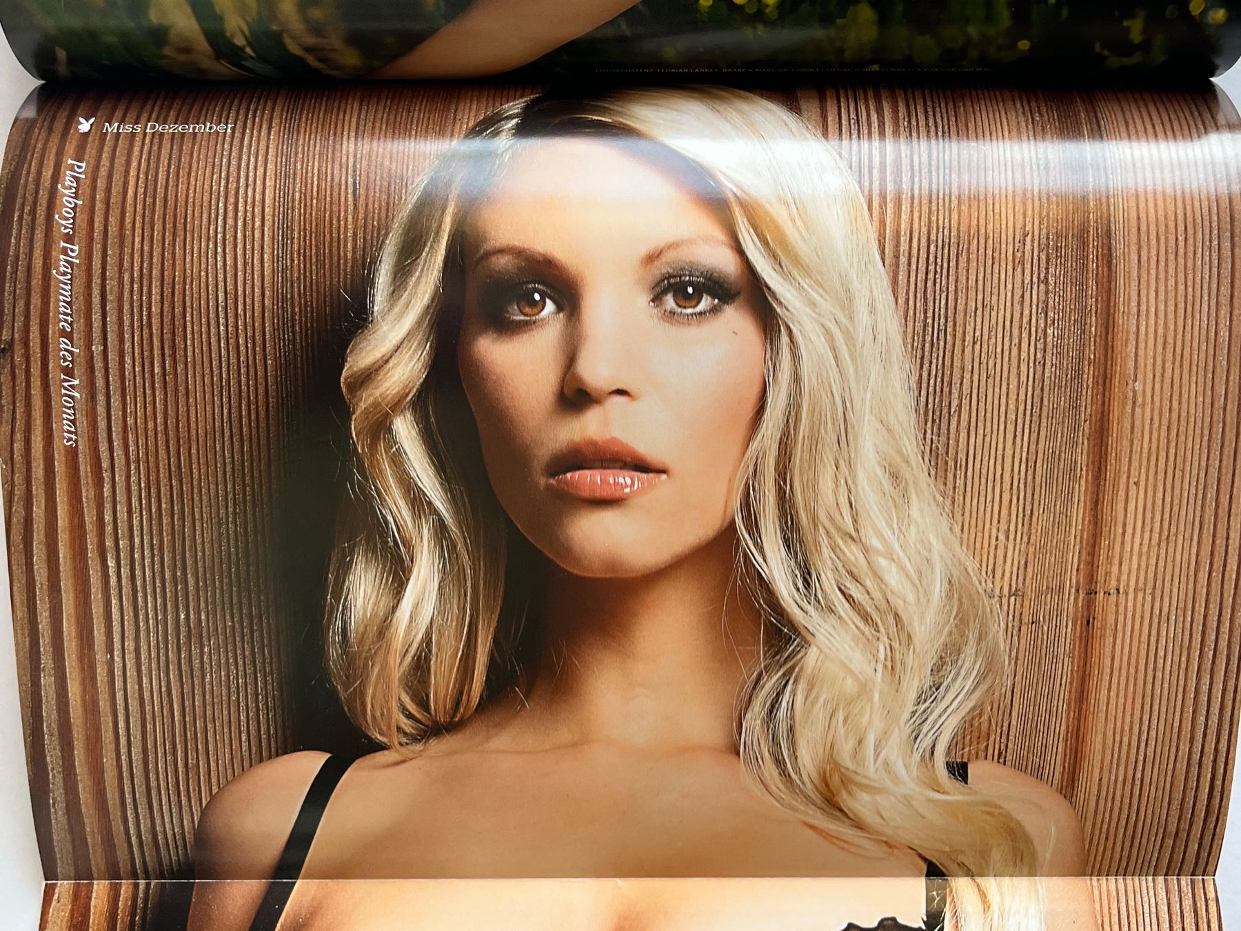 Zeitschriften & Magazine: PLAYBOY Dezember 2012 [Versand gratis] – Gebraucht aus Aeugst am Albis von Capricornus310 1