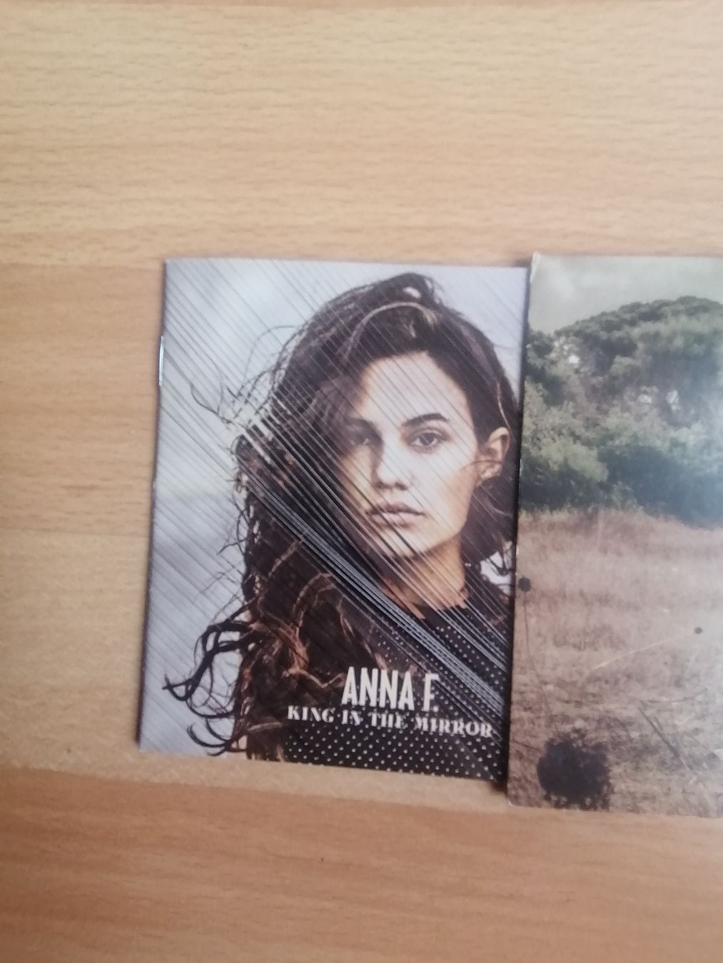 CD: Anna F - King in the Mirror – Usato da Hägendorf venduto da Fiooo 7