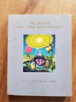 Nestlé Cailler Buch 1953 Die Natur und Ihre Geheimnisse