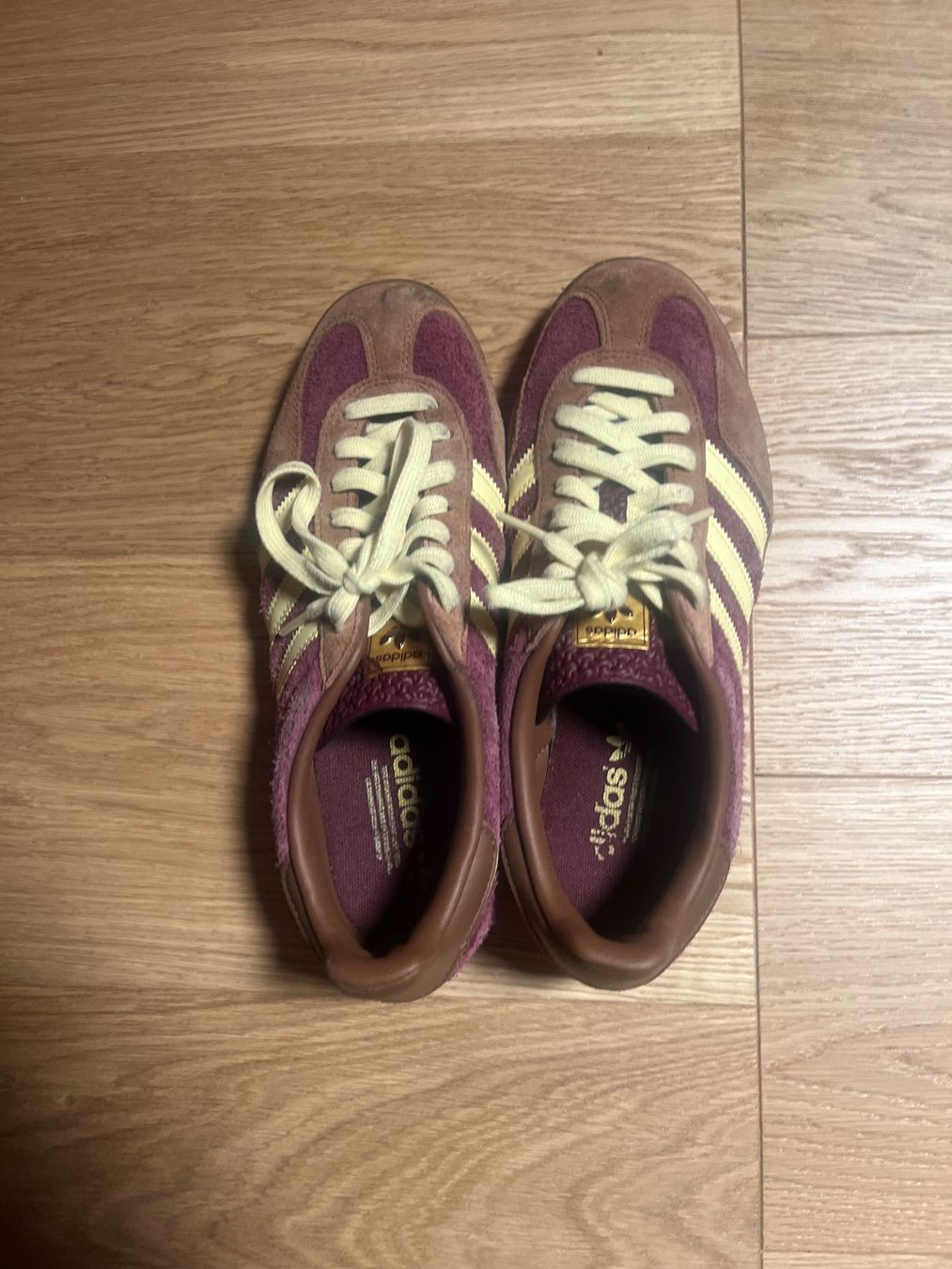 Adidas Scarpe da uomo: Adidas Gazelle – Usato da Zürich venduto da gaw_n98s