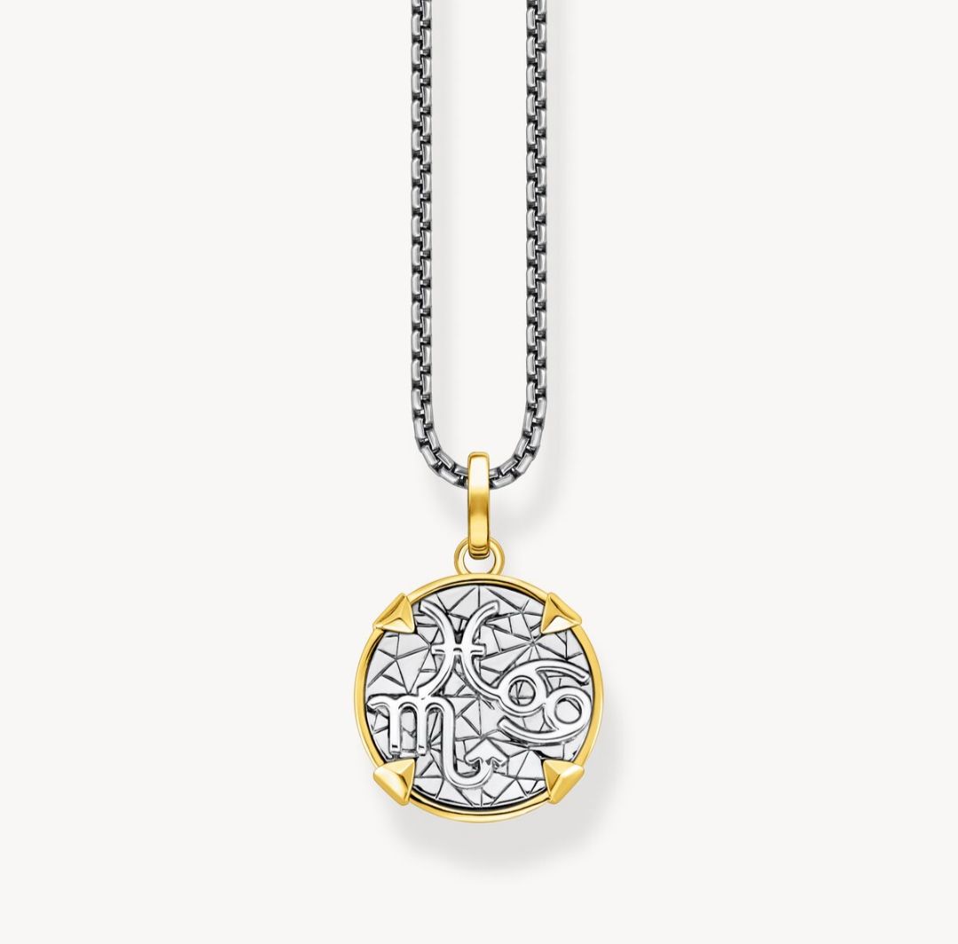 Thomas Sabo Ketten: Thomas Sabo Halskette Kompass aus Silber Neu – Neu (gemäss Beschreibung) aus Pfungen von Coco_ch 1