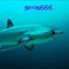 Profile image of neon666