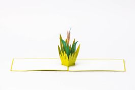36 handgemachte Pop-Up Karten «Strelitzie» - neu mit Couvert
