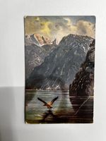 Ansichtskarte Berge See Adler Serie 9023 1 Stk by