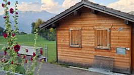 grosses Massivholz - Gartenhaus / Bienenhaus / Schopf