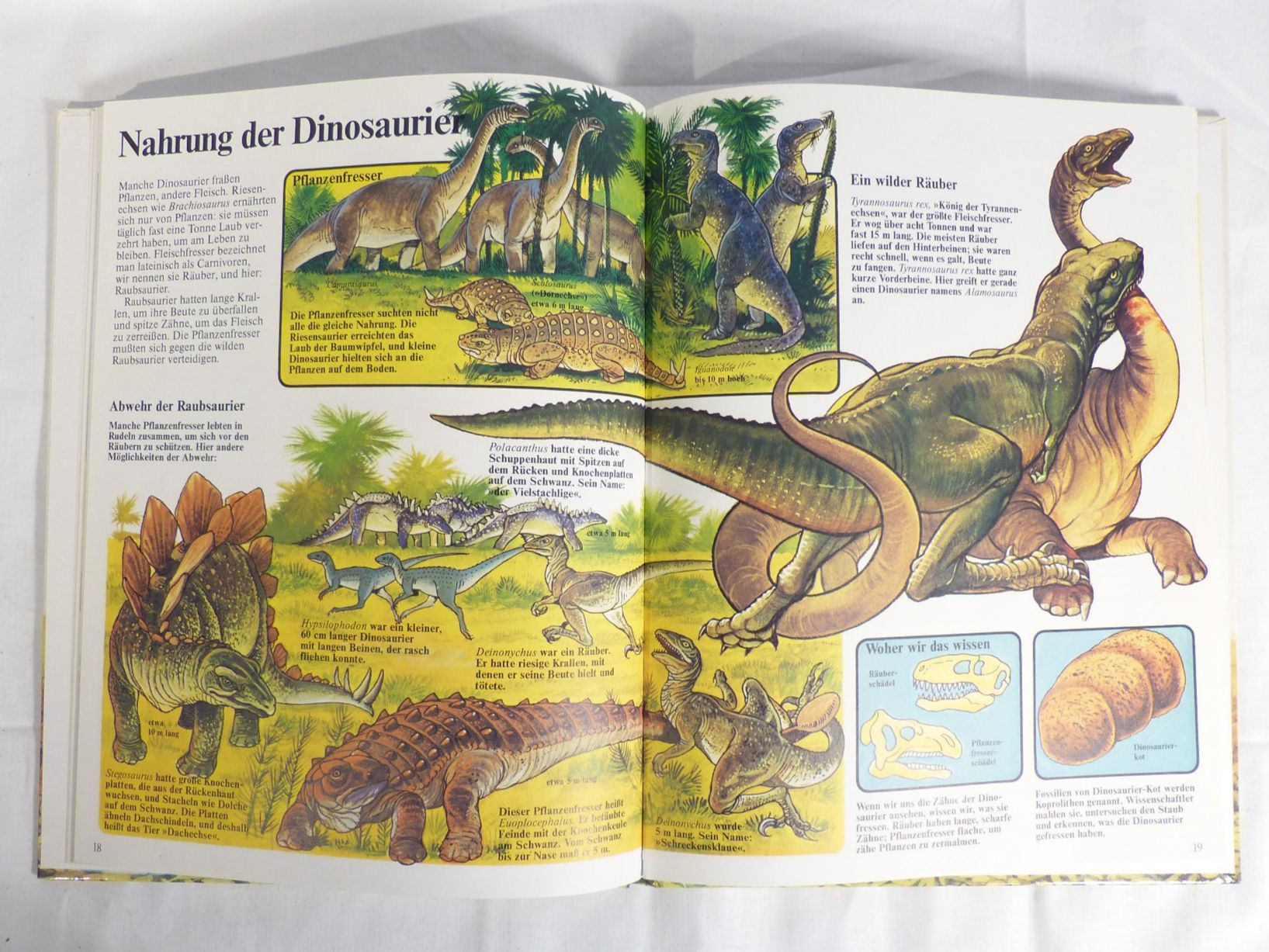 Libri: Dinosaurier Buch für Kinder – Nuovo (secondo la descrizione) da Zürich venduto da botschinski 4