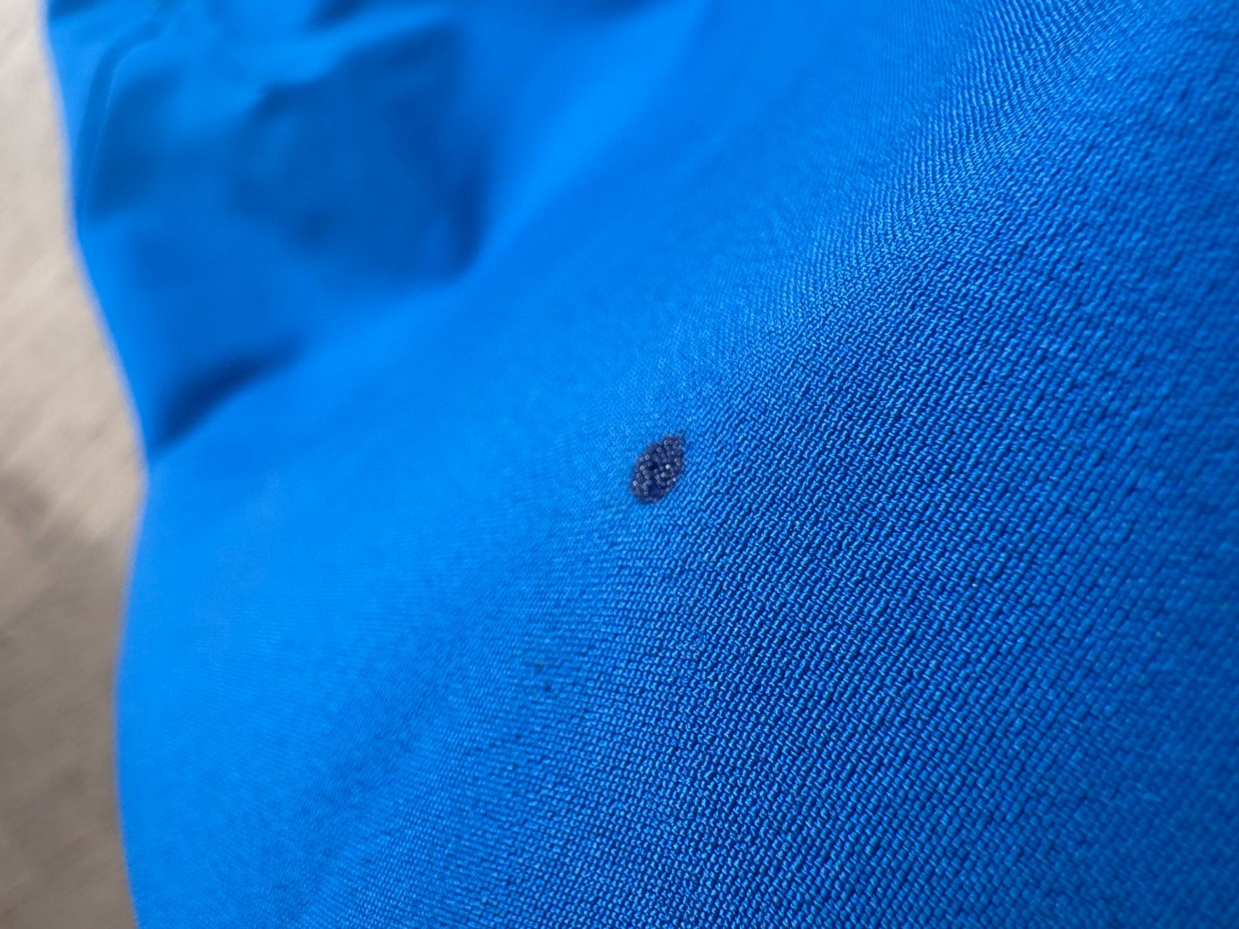 Patagonia Vestes: Patagonia Softshell Jacke blau – D'occasion à Elgg par Jo_Naj 6