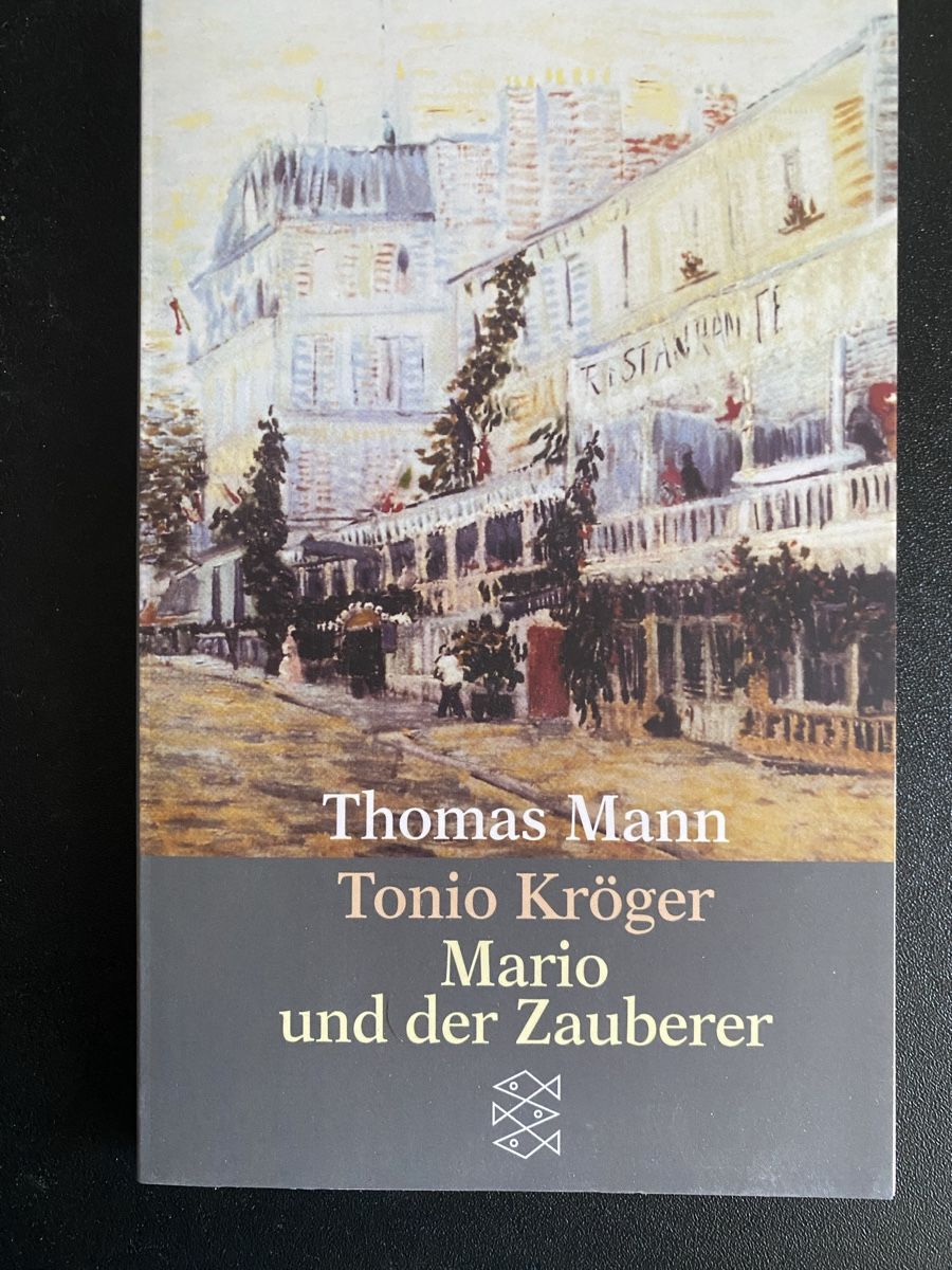 Libri: Taschenbuch Mario und der Zauberer – Usato da Samedan venduto da alwi_611