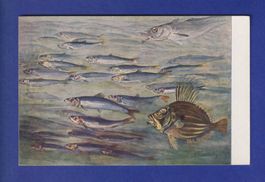 POISSONS