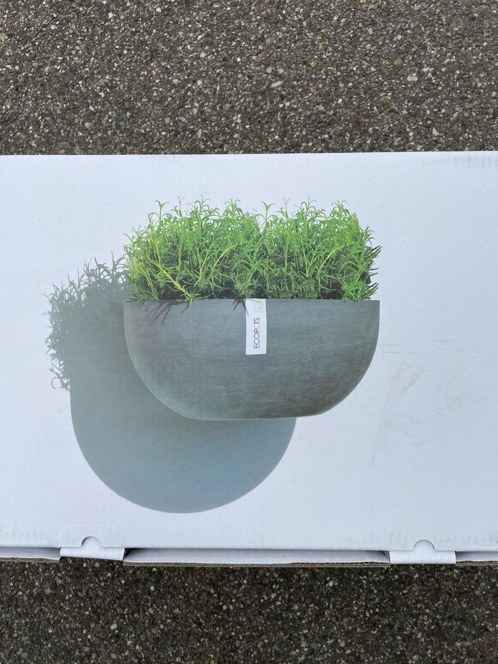 Vasi per fiori: Blumentopf - ECOPOTS Sofia Wall, Blumenhalterung Wand – Nuovo e nell'imballaggio originale da Wängi venduto da LiqKojote 2