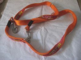 HUNDE LEINE ROGZ