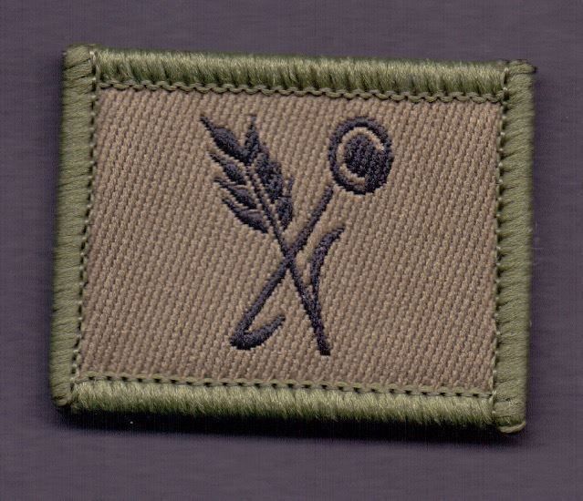 Schweizer Armee Plaketten & Abzeichen: Truppenkoch – Gebraucht aus Koblenz von Himmelsreiter