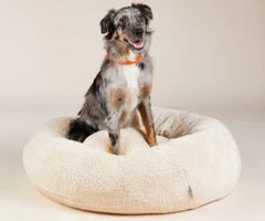 William Walker kuscheliges Hundebett Comfy Sand XL,Neu/ovp
