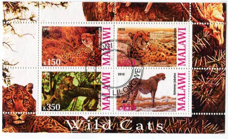 Alle Briefmarken: Block "Gepard". Malawi – Neu und originalverpackt aus Basel von Butsch5
