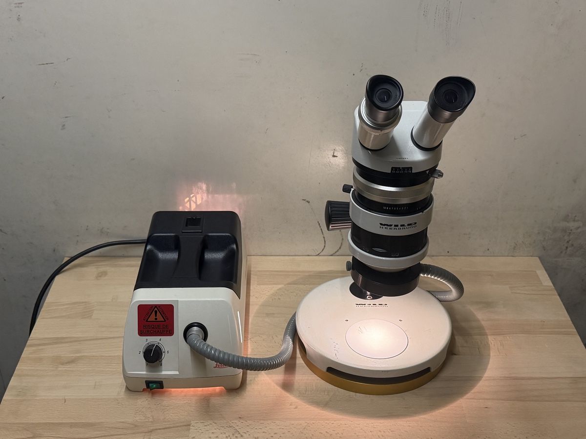 Wild Microscopi: Wild  Stereo Microscope M5A – Usato da Bassecourt venduto da DiM7775