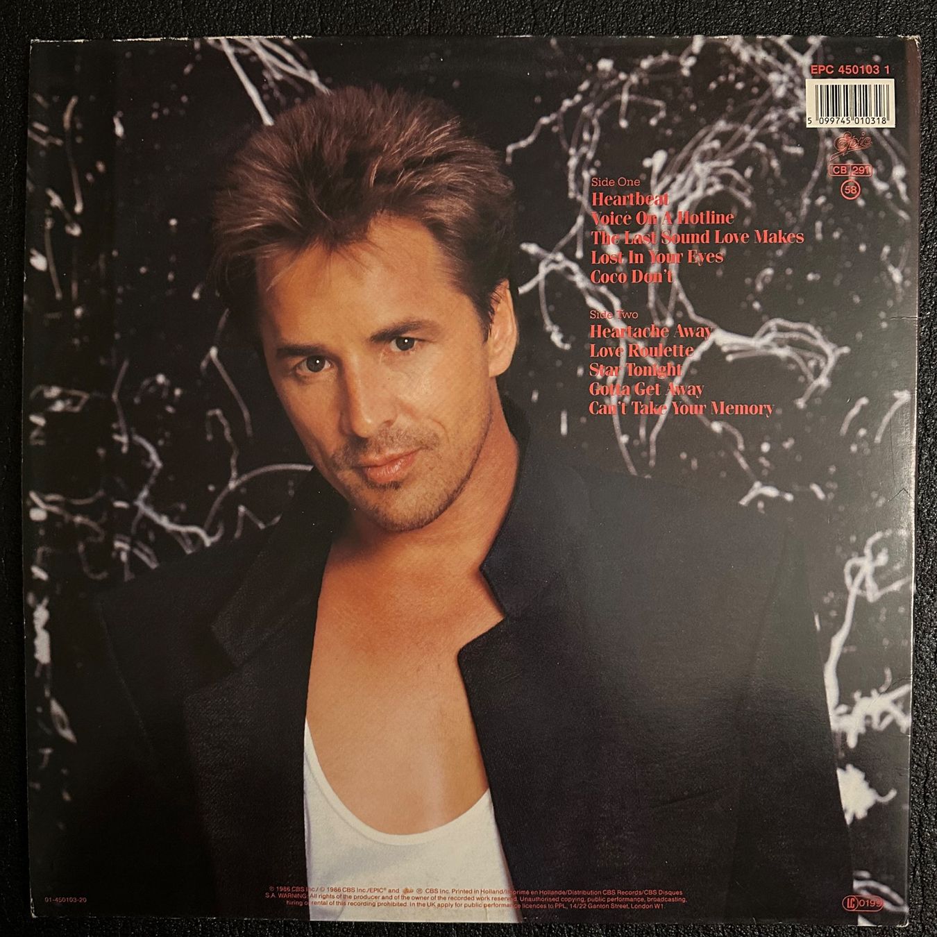 Dischi in vinile: LP - Don Johnson - Heartbeat – Usato da Breganzona venduto da Onairda75 1