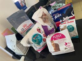Hochwertiges Trockenfutter Katze