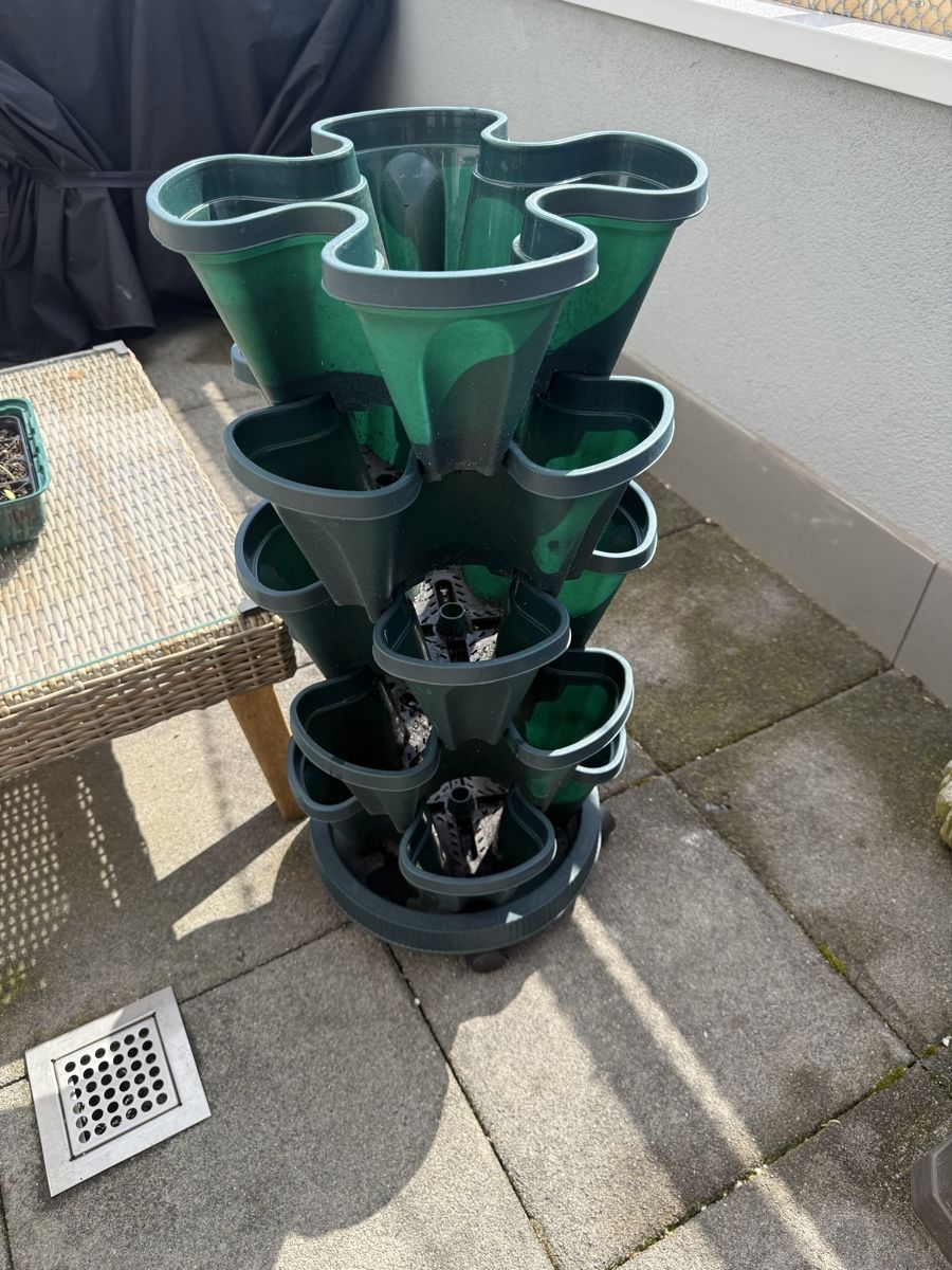 Vasi per fiori: Erdbeertopf – Usato da Zürich venduto da Joao-Neves 2