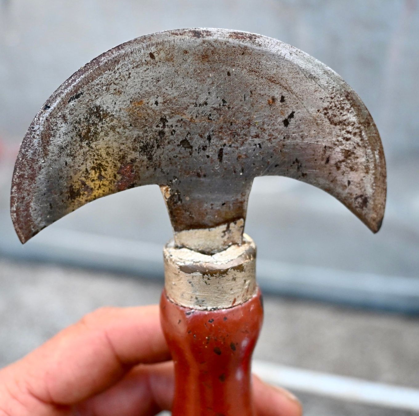 Sattler Tutti gli attrezzi: antikes Halbmondmesser - Sattlermesser länge 19cm – Usato da Pfaffhausen venduto da mono_rec 3