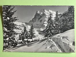 Grindelwald, Wetterhorn
