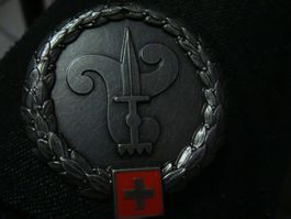 insigne militaire pour bérret , dernière génération