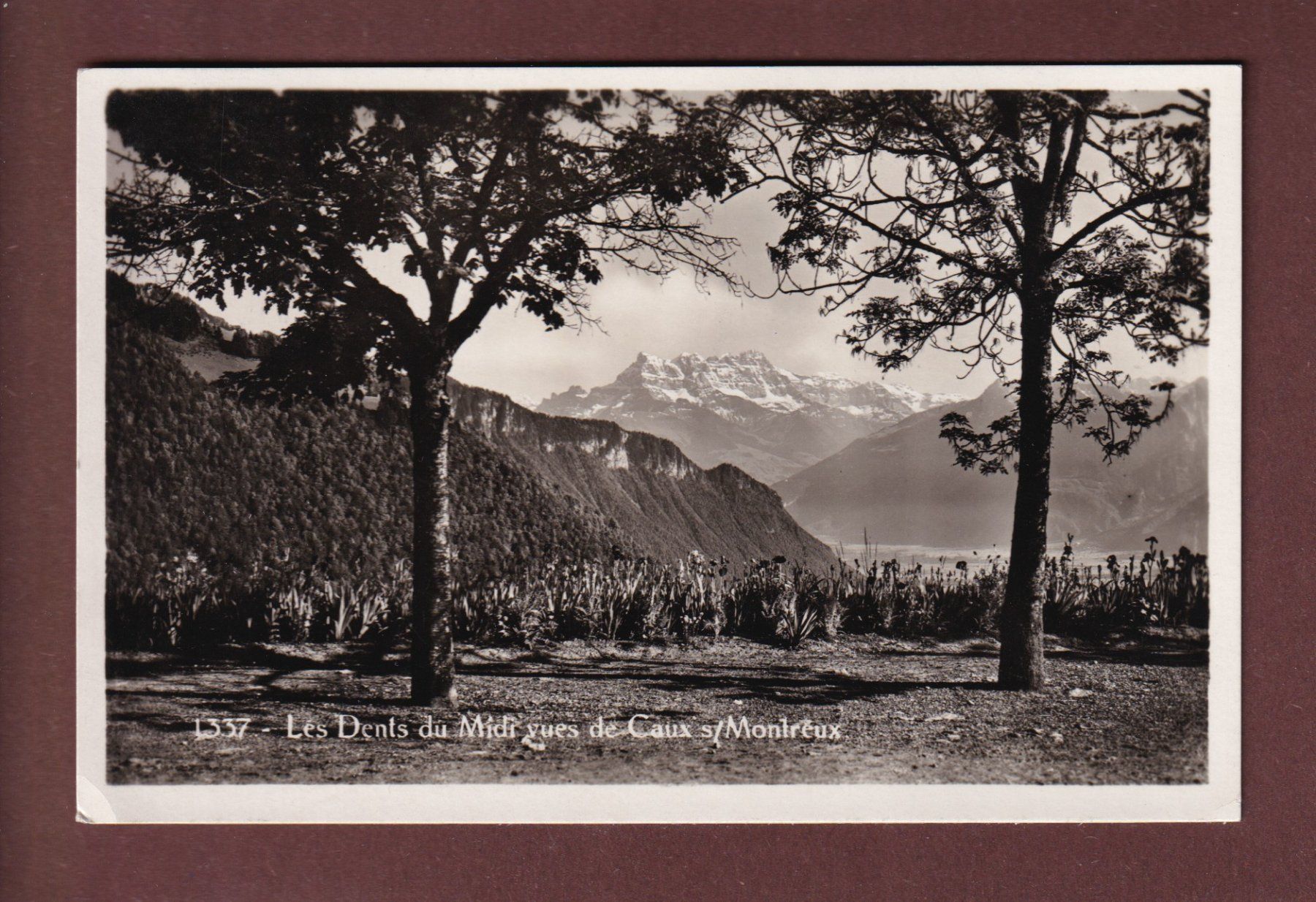Cartoline postali: CAUX - Dents du Midi - 1936 – Usato da Pully venduto da nicecards-shop