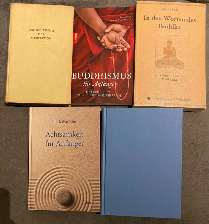 Buddhismus Meditation für Interessierte und Anfänger Kaufen auf Ricardo