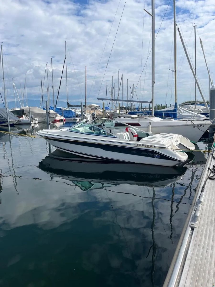 Sea Ray Barche: Motorboot Sea Ray – Usato da Kirchdorf BE venduto da Stefuuu3
