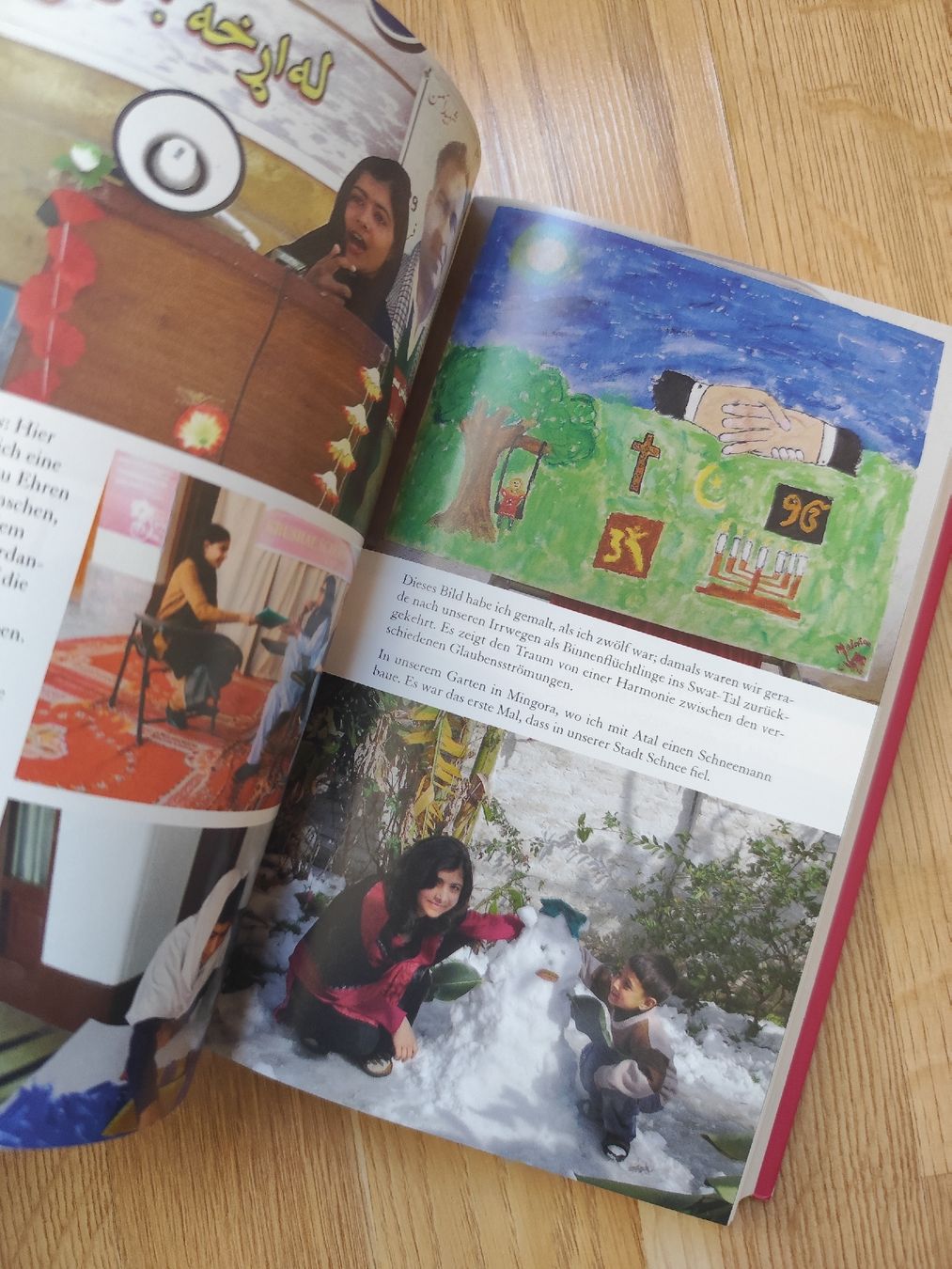Libri: Malala Yousafzai Memoir: "ich bin Malala" - Must Read! – Usato da Mägenwil venduto da VintageGirly 6