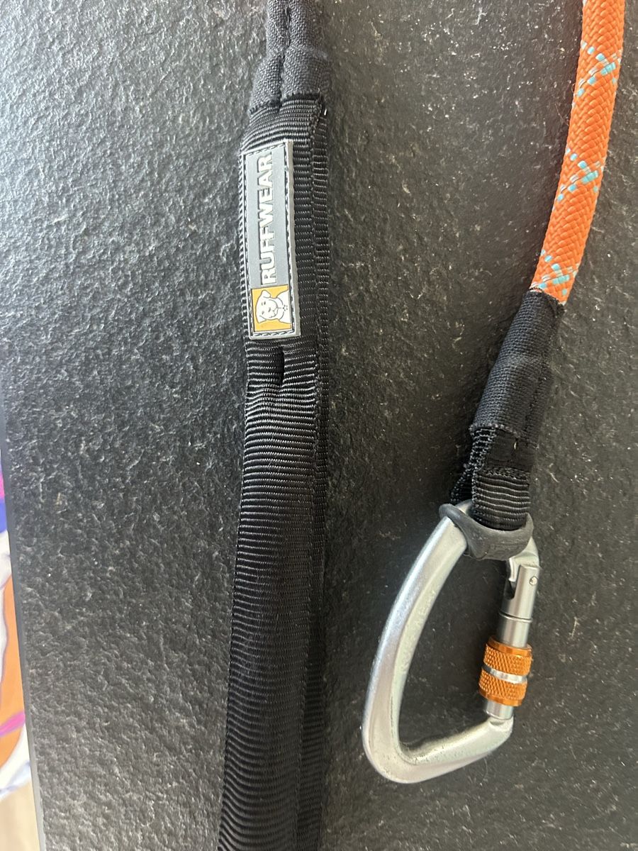 Ruffwear Collier et laisse: Kurze Leine Ruffwear – D'occasion à Aarwangen par familiejoerin 1
