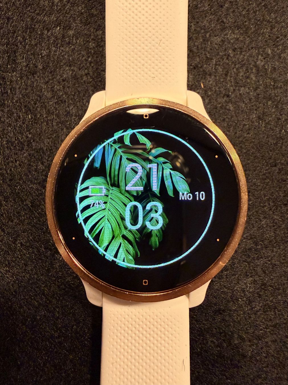 Garmin Smartwatch: GARMIN VENU 2S – D'occasion à Rapperswil SG par Neseni 7