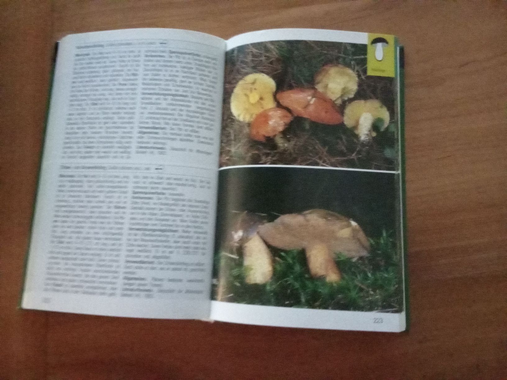 Bücher: PILZ -BUCH – Gebraucht aus Muri BE von Alk 5